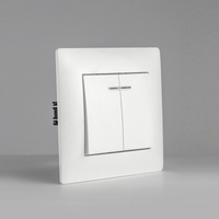 PC 2 Gang 1 Way Wall Mount Light Switch with Led Lamp