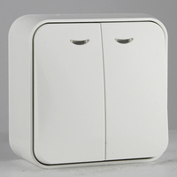 Surface Mounted 10A 2G 1 Way Light Switch
