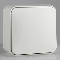 Surface Mounted 10A Single Pole 1G 1 Way Light Switch