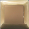  metal 1 G 2 Way Light Switch