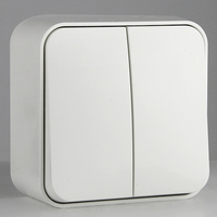 Surface Mounted 2G 1 Way Wall Light Switch